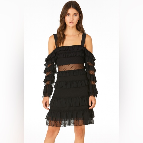 Alexis Mesh Panel Black Ruffle Mini Dress size Medium RARE - Picture 1 of 10